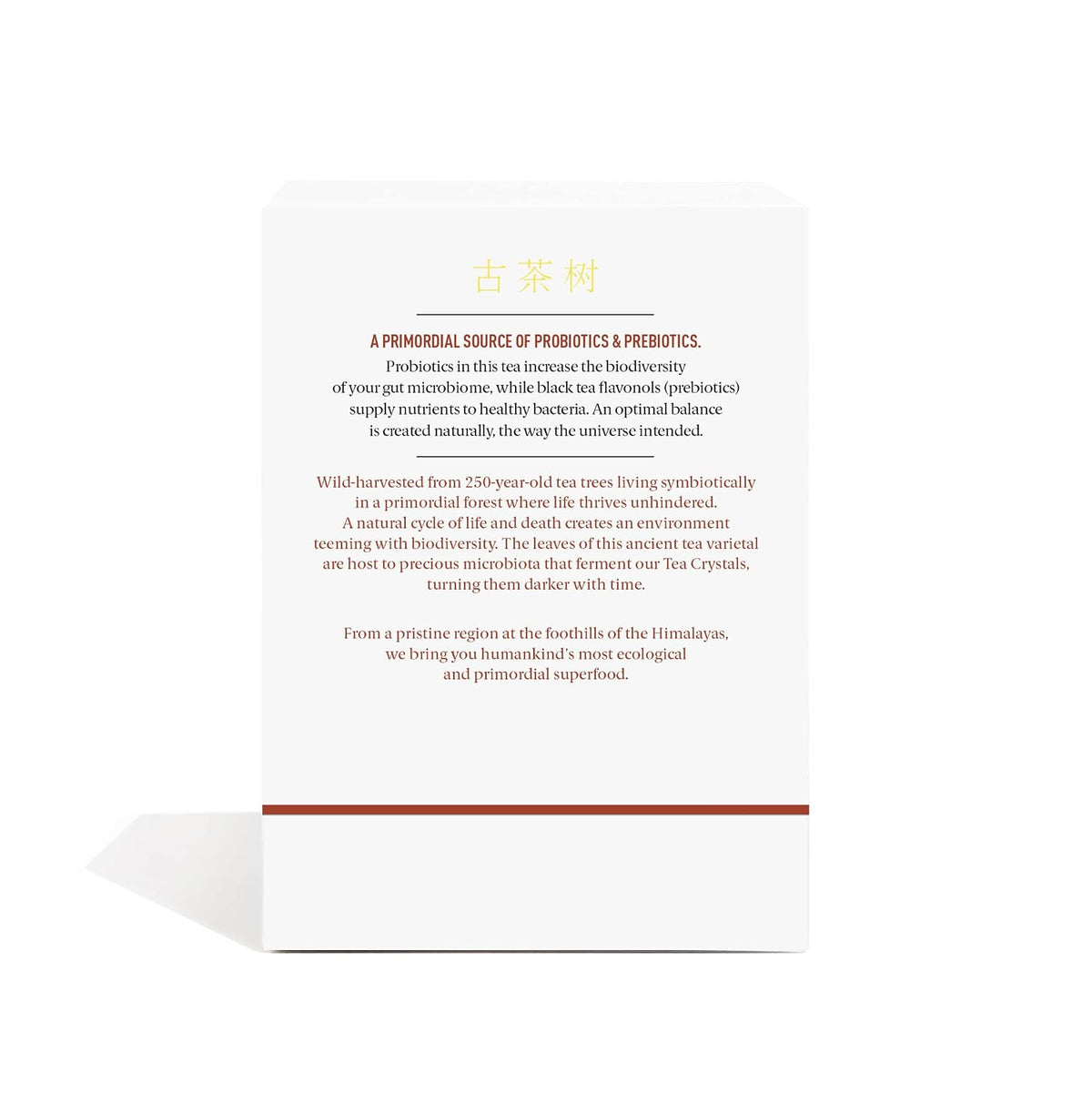 Pu'er Black Tea